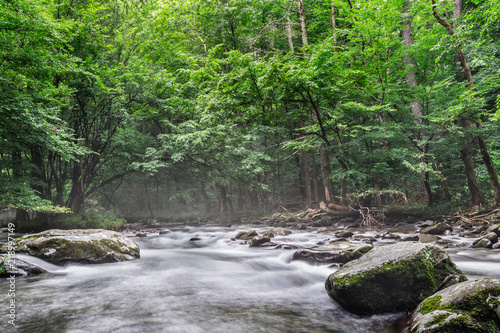 Great Smoky Mountains National Park-peaceful stream on a foggy morning