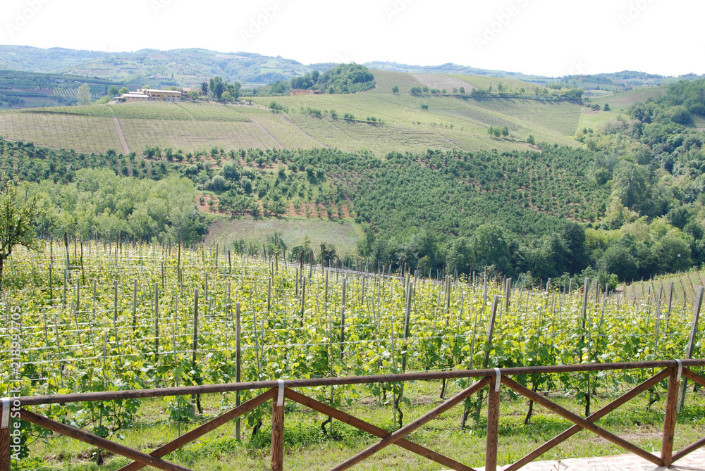 Langhe Hills, Piedmont - Italy