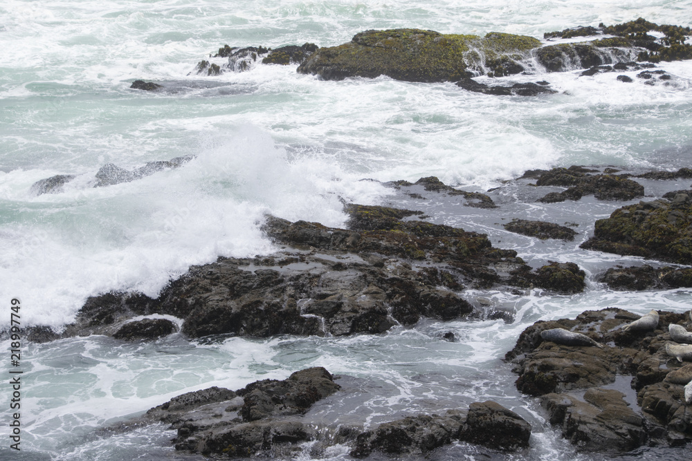 Waves crashing in high surf on the N. California coast