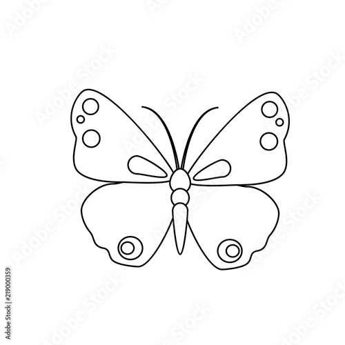 Butterfly vector spring