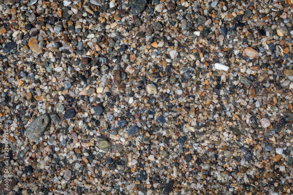 Colored stones and sea shells on the beach Colored stones and sea shells on the beach