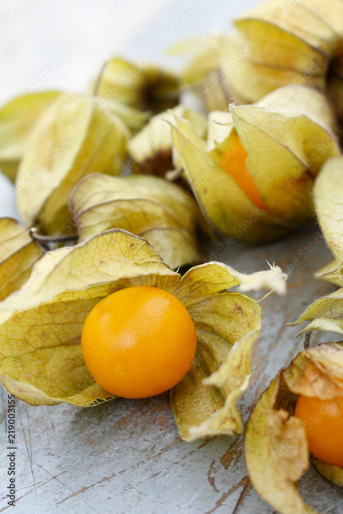 fresh fruit physalis fresh fruit physalis
