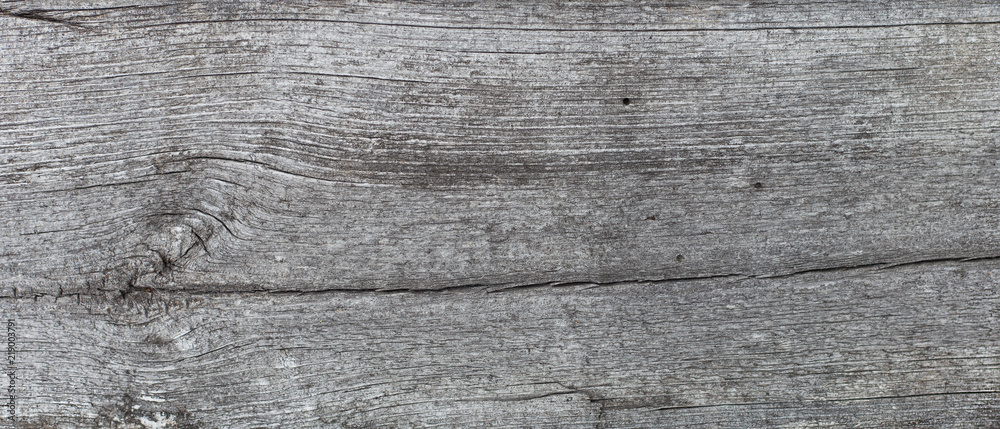 Old board, gray. Background, top view. Old board, gray. Background, top view.