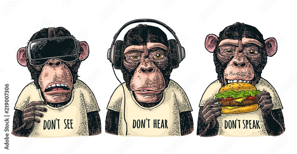 Fototapeta premium Trzy mądre małpy. Nie widzieć, nie słyszeć, nie mówić. Grawerowanie vintage