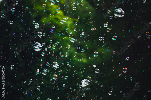 soap bubbles on green nature background photo