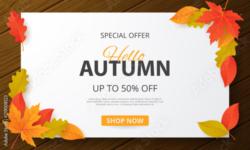 Autumn sale background with leaves. Can be used for shopping sale, promo poster, banner, flyer, invitation, website or greeting card. Vector illustration