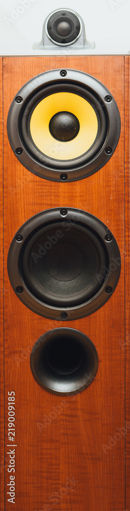 floorstanding audio speaker, close-up view floorstanding audio speaker, close-up view