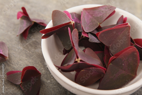 fresh salad leaves photo