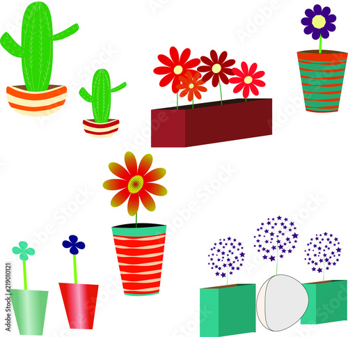 Assortment of flowers and pots