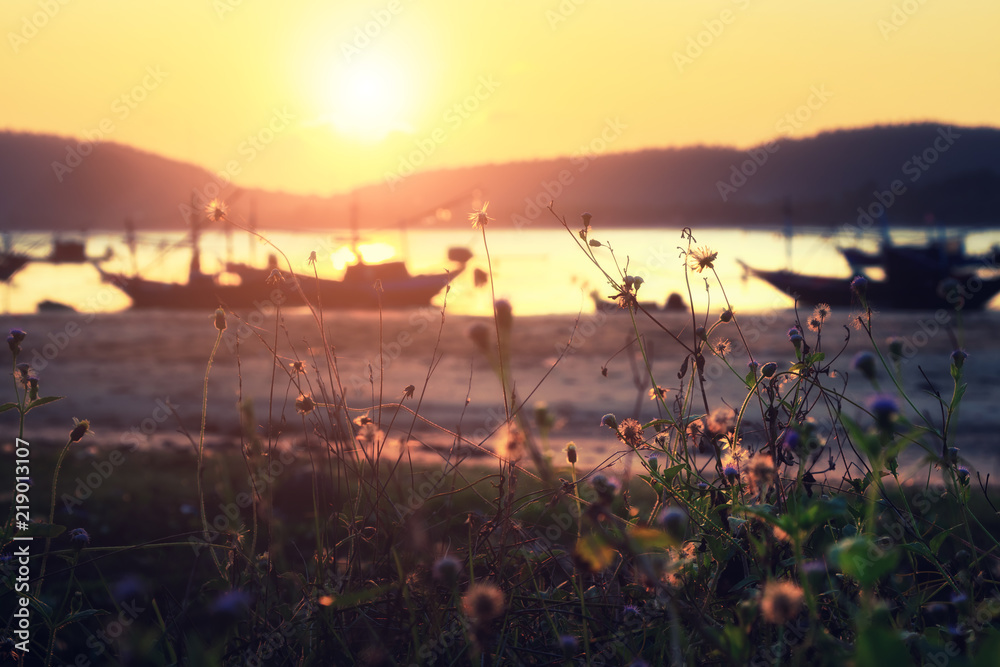 Beautiful sunset over the beach with grass. Beautiful natural landscape in the summer time. Abstract Nature Background. color filter and soft focus 