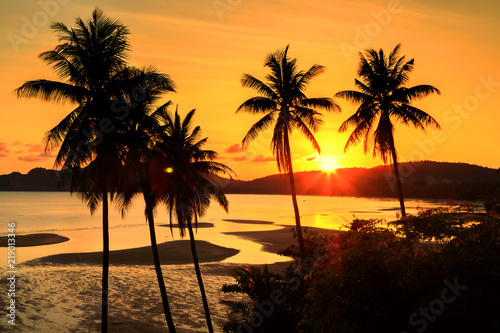 Sunset over the tropical beach with coconut palm and boat at Chumphon   Thailand . silhouettes of palm trees and amazing cloudy sky on sunset at tropical Beach with Lens Flare