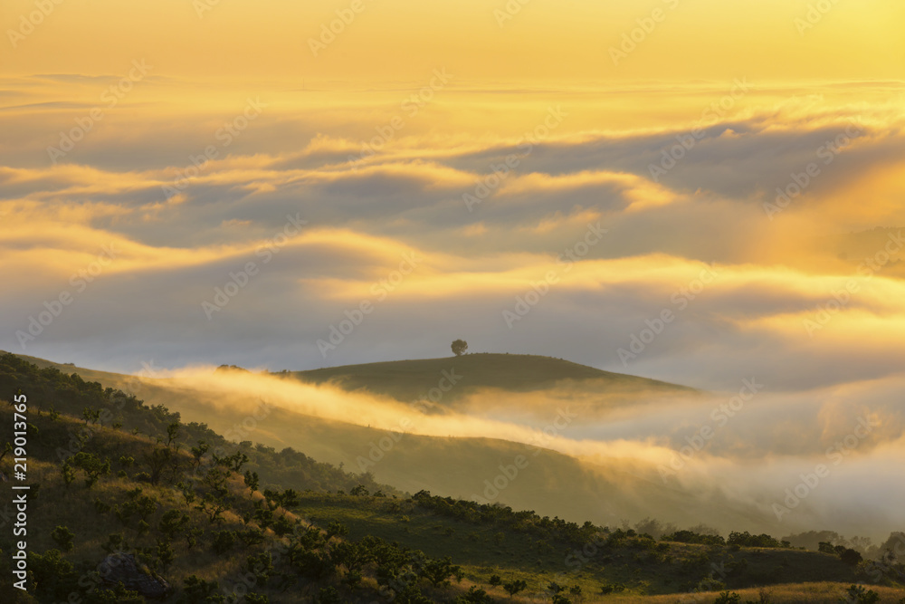 Obraz premium Low clouds yellow colored at sunrise