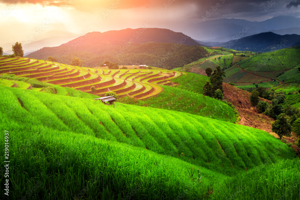 beautiful landscape view of rice terraces and house at chiang mai , Thailand. The village is in a valley among the rice terraces. Terraced Paddy Field in Mae-Jam Village chiang mai , Thailand.