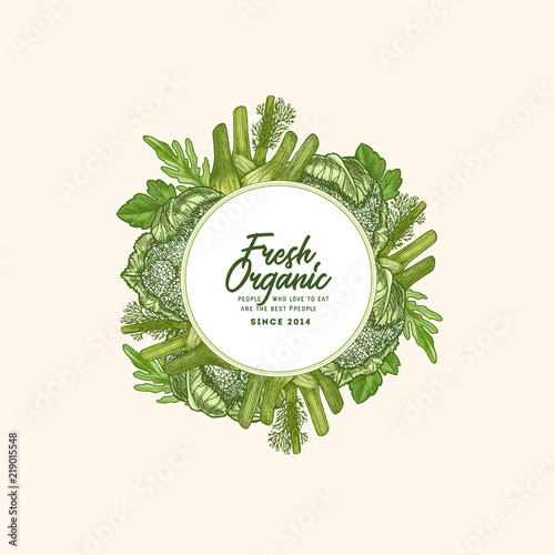 Green garden fresh vegetables round design template. Engraved  illustration. Vector illustration