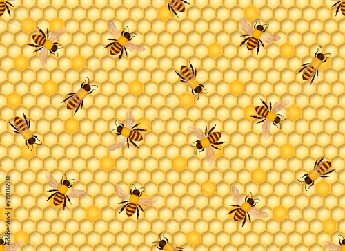 Honeycomb seamless background with bees. Vector illustration.