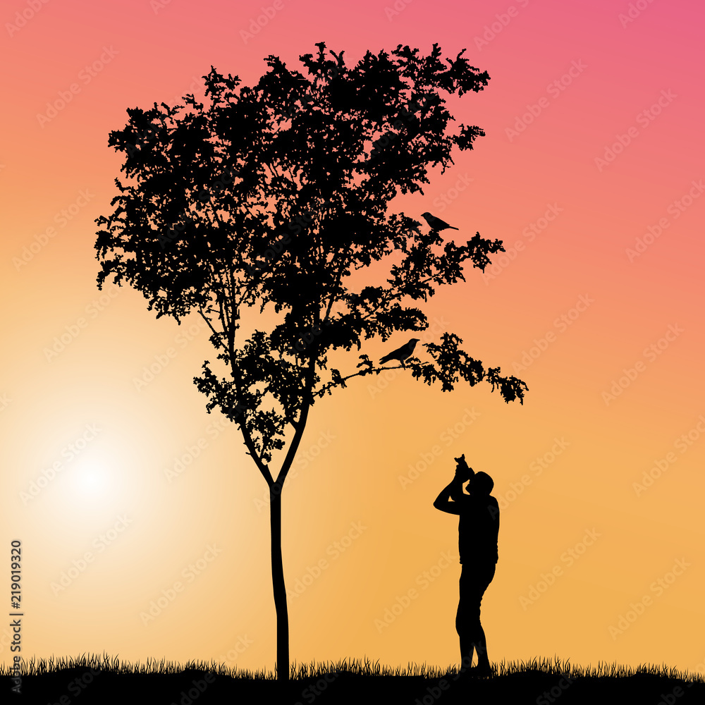 Colorful vector with a man photographing birds sitting on a tree in sunset.