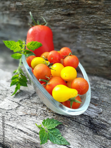 Tomaten Sortenvielfalt 2018 photo