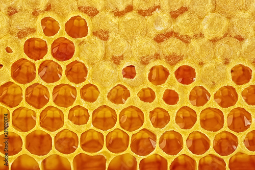 Honeycombs full of honey. Honeycomb background.