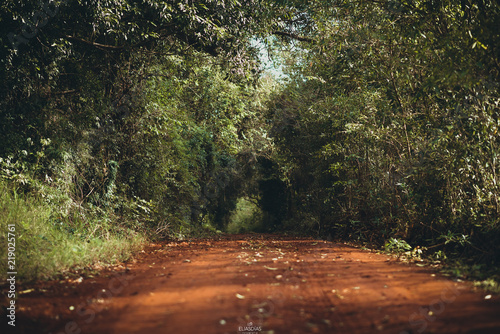 paisajes misiones argentina