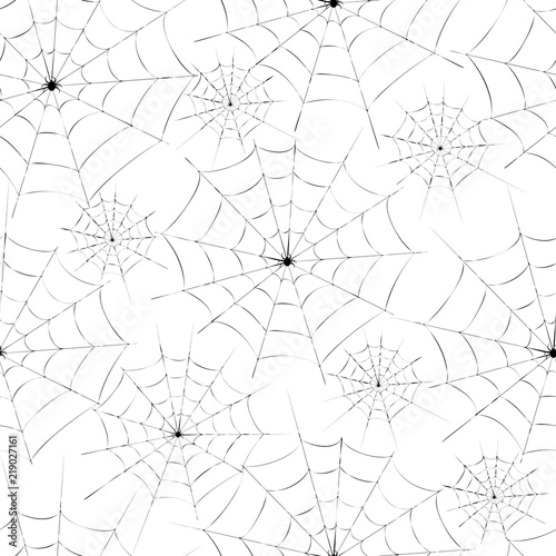 A web with a spider. Vector illustration.