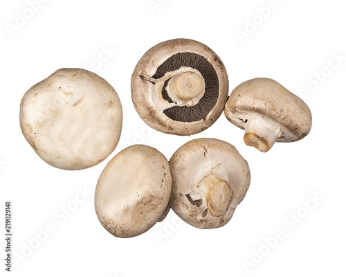 Champignon mushrooms.
