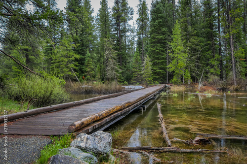 Outdoor view of wooden path over a stagnant water in a foggy forest, located Grand Tetons close to Jenny Lake photo