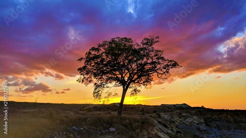 sunset in the mountains