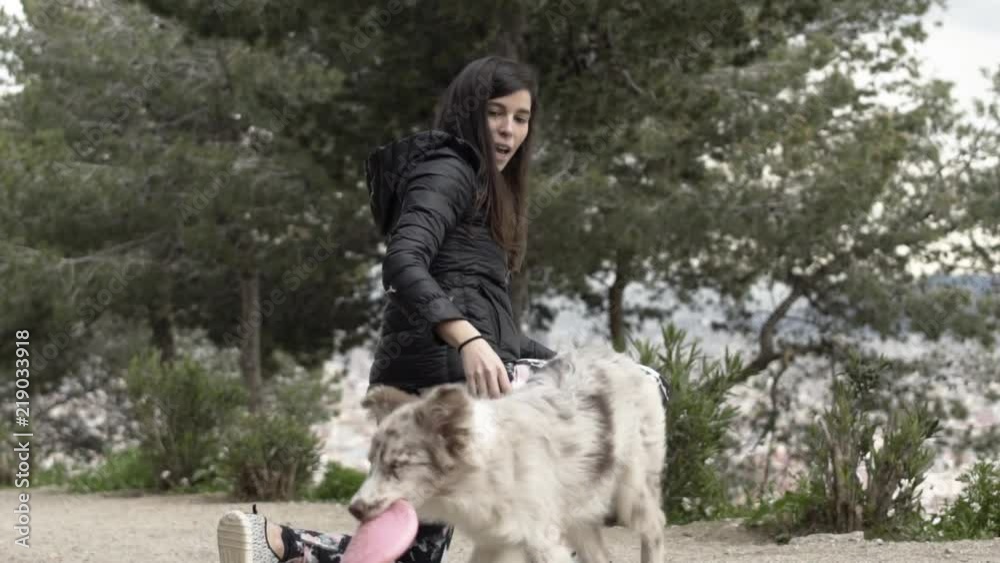 Border collie Grabbing Frisbee in Slow motion Border collie Grabbing Frisbee in Slow motion