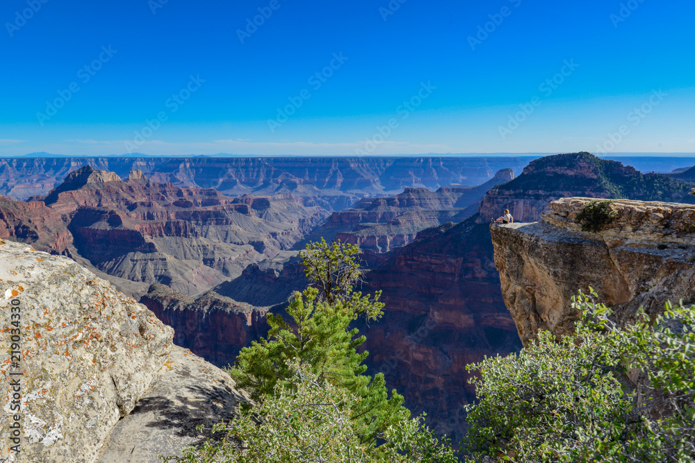 Grand Canyon from the North Rim 