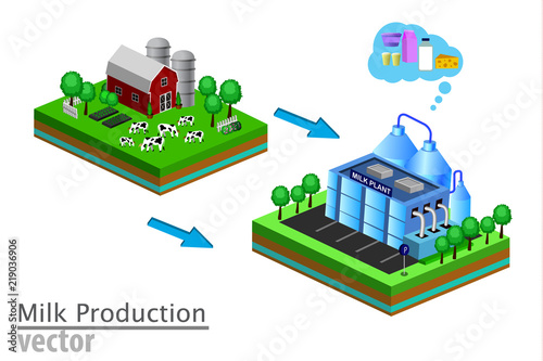 Dairy product delivery stages milk can processing
