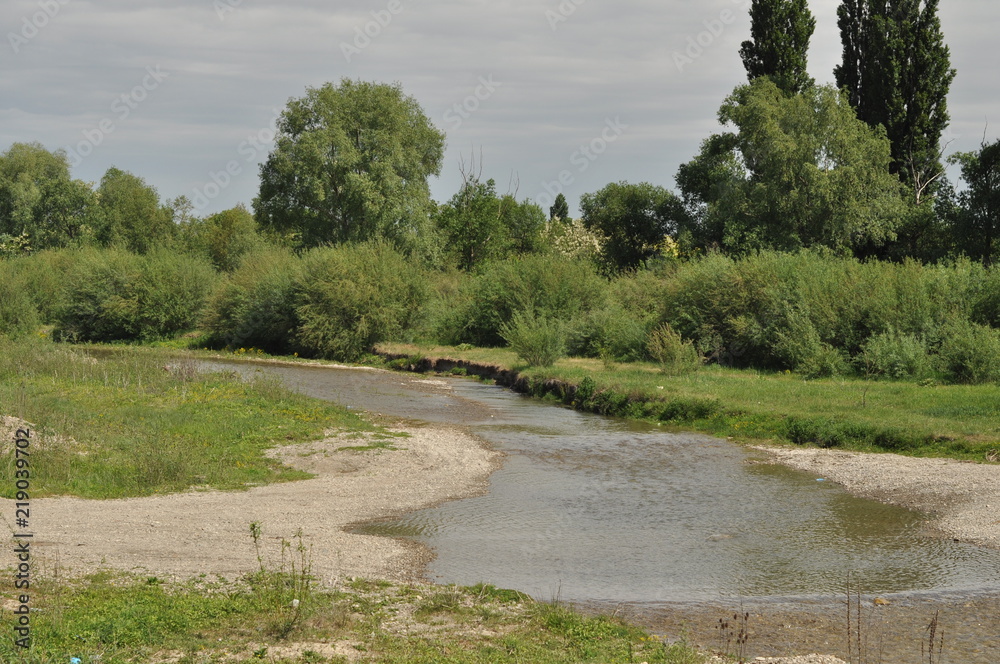 rivière entre les arbres en été rivière entre les arbres en été