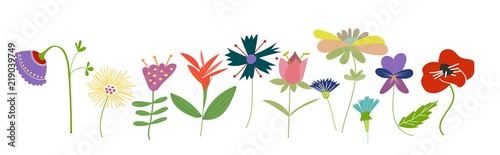 wild flower meadow illustration.vector floral elements collection. romantic hand drawn flowers and leaves collection. botanical elements collection. hand drawn floral doodles. 