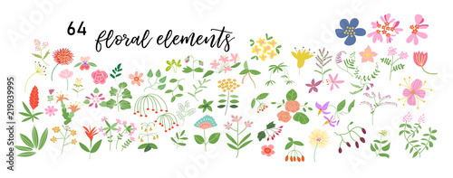 wild flower meadow illustration.vector floral elements collection. romantic hand drawn flowers and leaves collection. botanical elements collection. hand drawn floral doodles. 