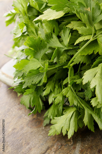 preparing fresh chervil herb in a bunch