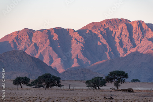 Beautifully sun lit mountain range at sunset with farm fence and dark silhouette trees in foreground, Namib desert, Namibia