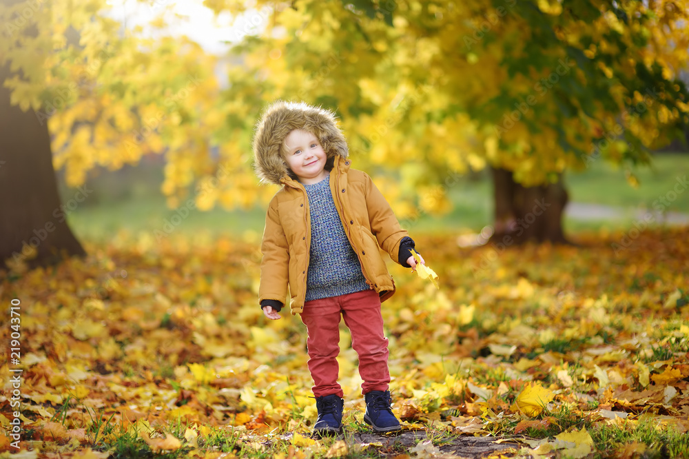 Little boy during stroll in the forest at sunny autumn day Little boy during stroll in the forest at sunny autumn day
