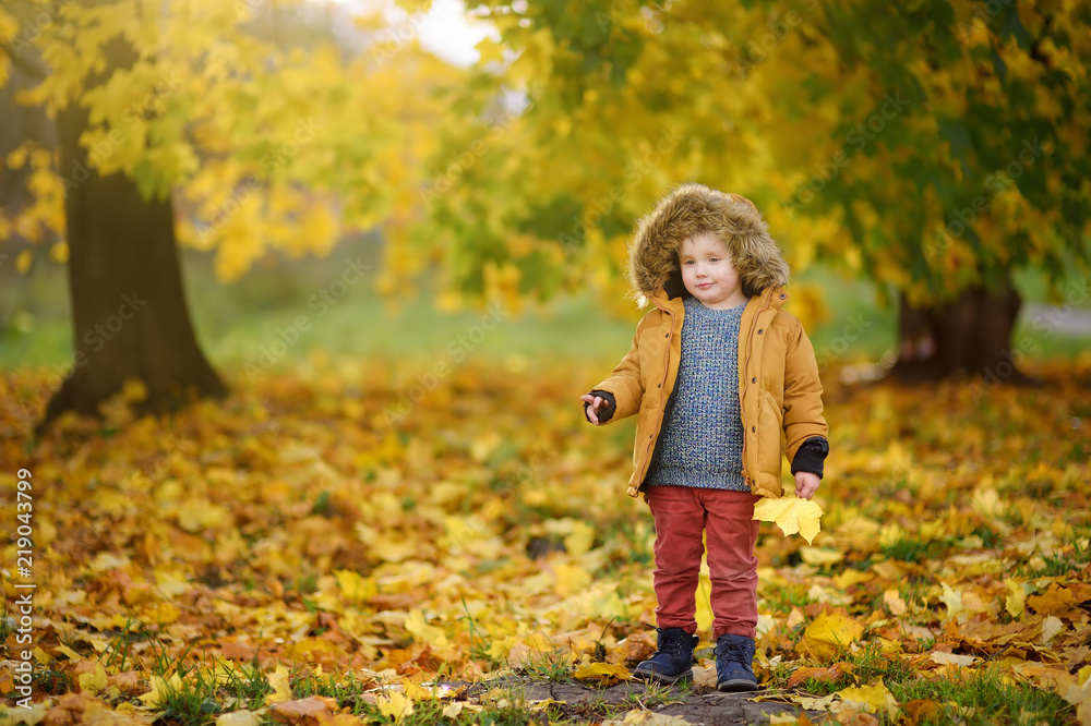Little boy during stroll in the forest at sunny autumn day Little boy during stroll in the forest at sunny autumn day
