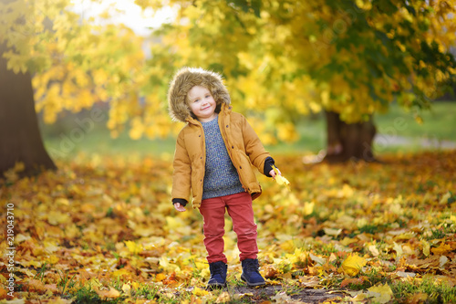 Little boy during stroll in the forest at sunny autumn day © Maria Sbytova