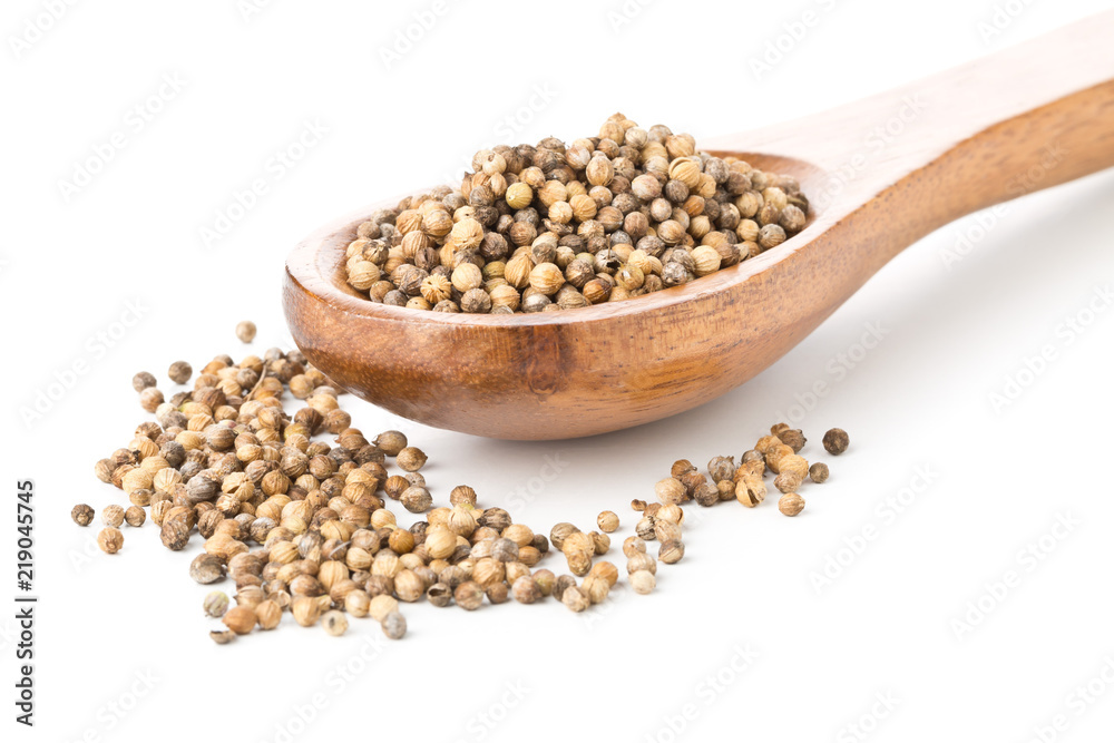 Raw, unprocessed organic coriander or cilantro seeds in wooden spoon on white Raw, unprocessed organic coriander or cilantro seeds in wooden spoon on white