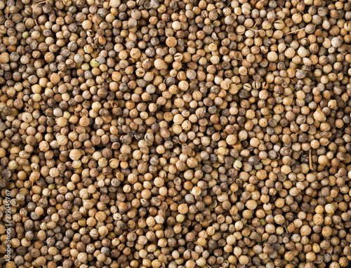 Background of raw, unprocessed organic coriander or cilantro seeds