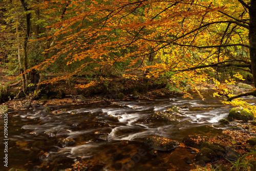 Autumn over the River Teign on Dartmoor