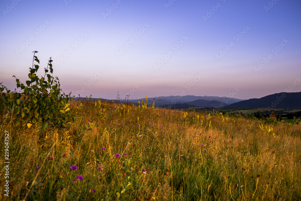 Obraz premium górska łąka w Bieszczadach o zmierzchu