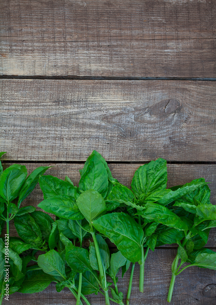 bunch of basil on wooden surface bunch of basil on wooden surface