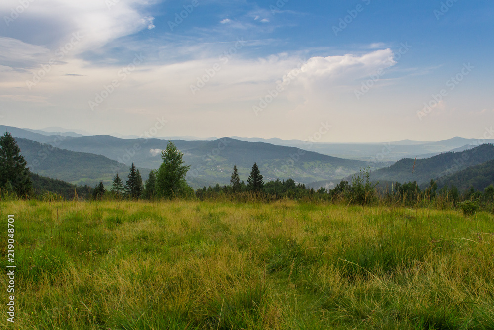 landscape of the Carpathian Mountains after rain