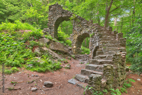 Photo Castle staircase ruins from Madame Sherri Forest in West Chesterfield, New Hampshire (USA)