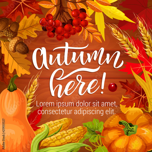 Autumn season harvest, vector holiday poster