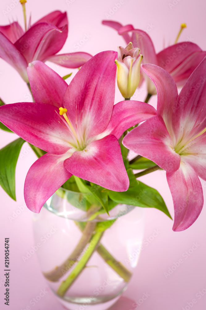 Pink lily flowers in a glass jar