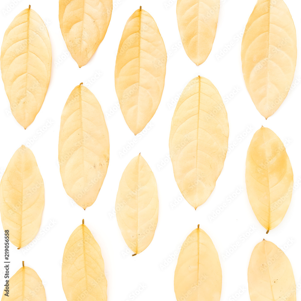 Autumn composition made of yellow leaves on white background. Flat lay, top view. Close up view Autumn composition made of yellow leaves on white background. Flat lay, top view. Close up view