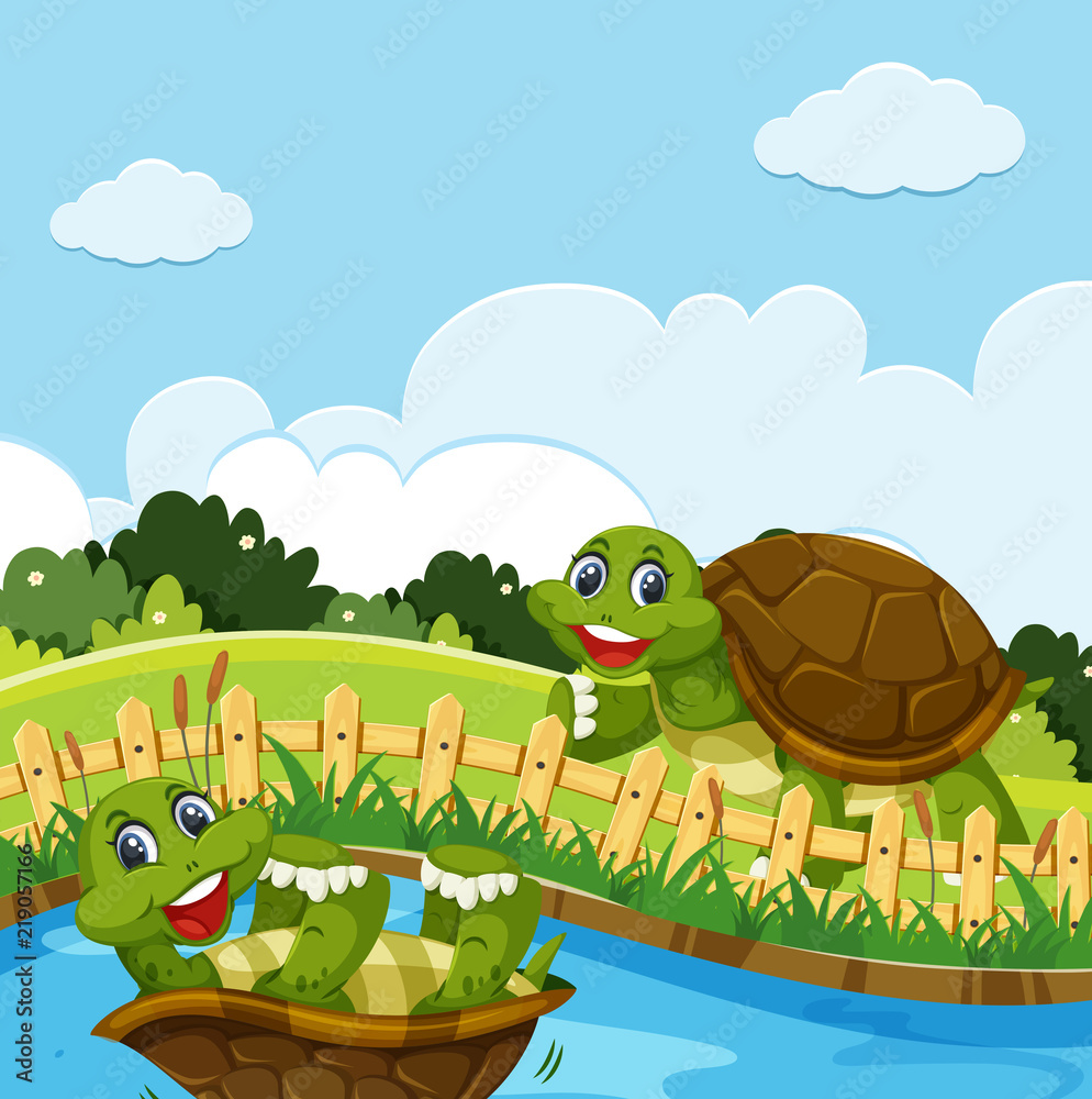 Obraz premium Turtle in the nature