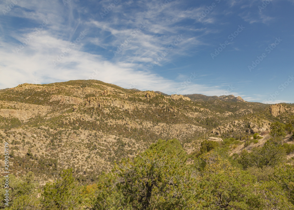 Tucson Arizona Mountain and City Landscape